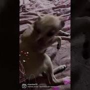 Не Двигайтесь Вот Так Не Двигайтесь Джотто