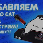 Bongo Cat В Obs Как Добавить Гайд