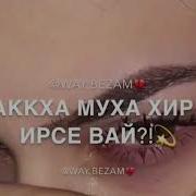 Хьай Дог Хьостуш Цхьаа Воцуш