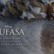 Bye Bye Mufasa