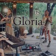 Amadeus Electric Quartet Gloria