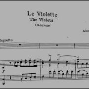 Le Violette Scarlatti In B Karaoke