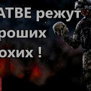 В Жатве Режут И Хороших И Плохих