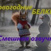 Новогодние Белки Смешная Озвучка 2018 Года