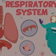 What Is The Next Step Of The Operation
