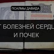 От Болезни Сердца Канал Святой Щит