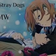 Amw Bungou Stray Dogs Stripped