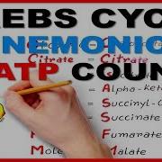 Krebs Cycle Citric Acid Cycle Tca Cycle Atp Count Mnemonic Series 9