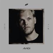 Avicii Heaven Instrumental