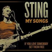 Sting If You Love Somebody Set Them Free My Songs Version Audio