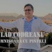 Vlad Codreanu Domnisoara Cu Pistrui