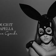 Ariana Grande Touch It Acapella