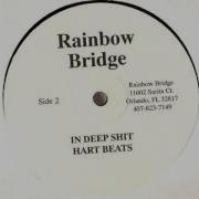 Deep Tone Rainbow Bridge