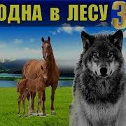 Целитель Тайги Часть 3 Серия 6