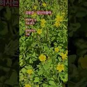 당신이좋아