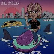 Lil Pump Crazy Official Instrumental