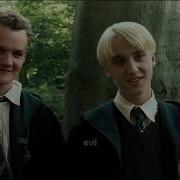 Shut Up Malfoy