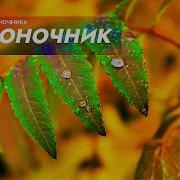 Исцеление Позвоночника Новый Саблиминал Скрытые Аффирмации