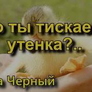 Что Ты Тискаешь Утенка