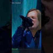 Песню Шатунова В Исполнении Челобанова