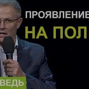 Проявление Духа На Пользу Александр Шевченко