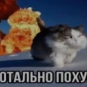 Тотально Похуй