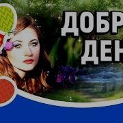 И Николаев Добрый День