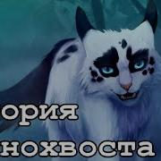 Коты Воители Иглохвостка И Тёмнохвост Клип Courtesycall