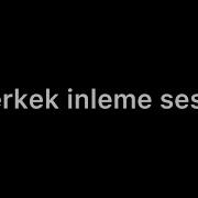 Erkek Inleme Sesi Asmr