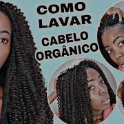 Como Lavar Cabelo Orgânico