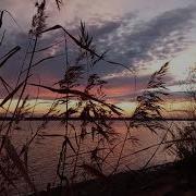 Шелестит Трава Море И Вода Дышим