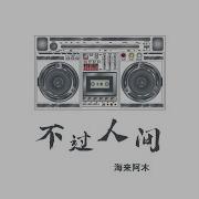 不过人间 Dj沈念版