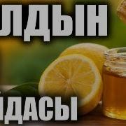 Пайдалуу Лекциялар