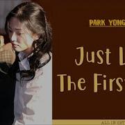 Park Yong Ha All In