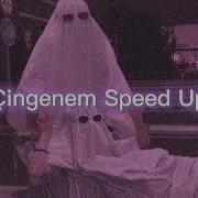 Cingenem Speed Up