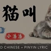 Xiao Fengfeng 小峰峰 Xiao Panpan 小潘潘 Learn To Meow 学猫叫