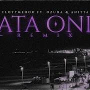 Gata Only Remix