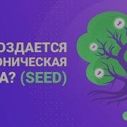 Как Создается Мнемоническая Фраза Seed