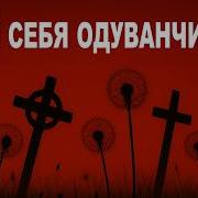 Почему Одуванчик Может Быть Опасен Для Здоровья