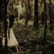The Paper Kites Bloom Lyrics