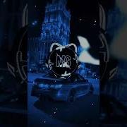 Гандоны Для Димона