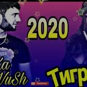 Ака Сиёвуш Лейла 2020 Aka Siyovush Leyla 2020