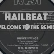 Broken Wings Mr Mister Hailbeat Remix