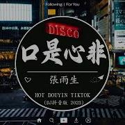 口是心非 Dj版