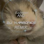 Hamster Dance Remix