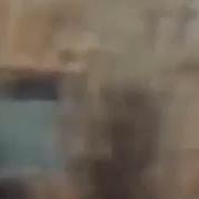 Иккта Опа Сингил Уйда Йолгиз Секс Ракси