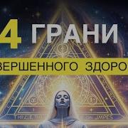 Пирамида Целостного Здоровья