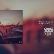 Max Freegrant Wonderful Life