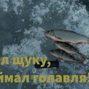 Искал Щуку А Поймал Голавля Ноябрьская Рыбалка На Реке Сок У Села Лебяженка