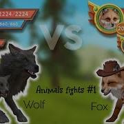 Wildcraft Wolf Vs Fox